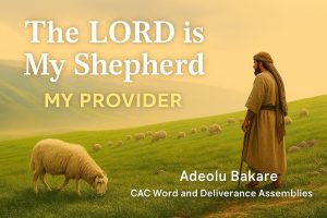 Read more about the article The LORD is My Shepherd – My Provider